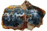 Polished Trent Agate With Stibnite & Realgar - Oregon #227567-1